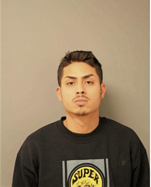 JUAN M AVILA, Cook County, Illinois