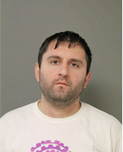 SAVVAS K AVRAMIDIA, Cook County, Illinois
