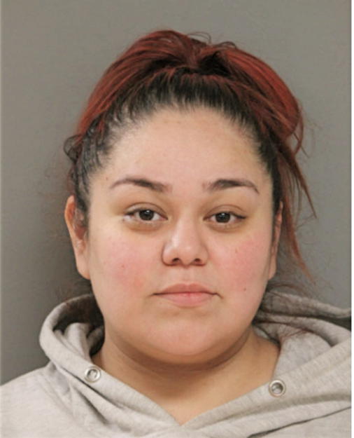 VANESSA J CASTILLO, Cook County, Illinois