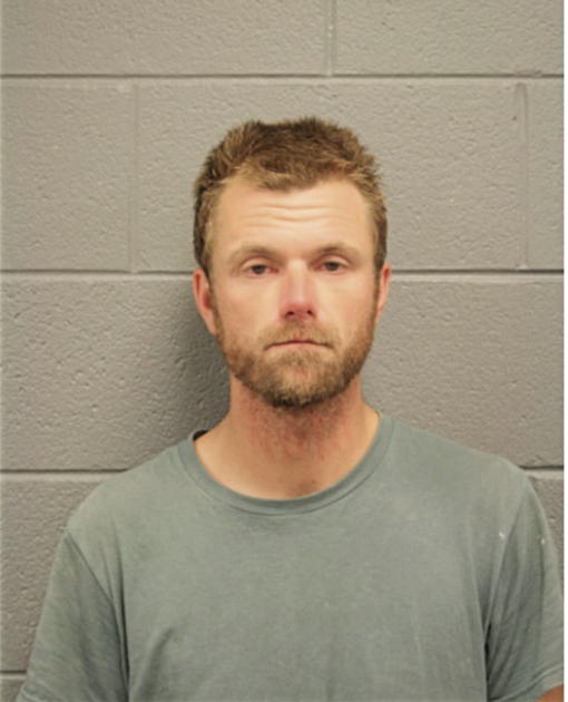 DAVID P CASTLEMAN, Cook County, Illinois