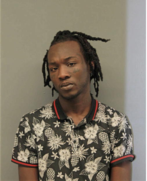 DEVONTE D DIXON, Cook County, Illinois