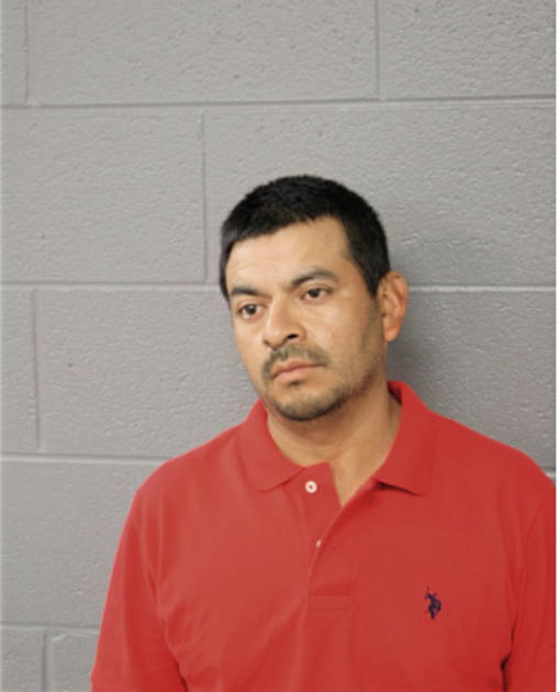 DAVID GARCIA, Cook County, Illinois