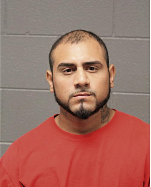 SAMER HERNANDEZ, Cook County, Illinois