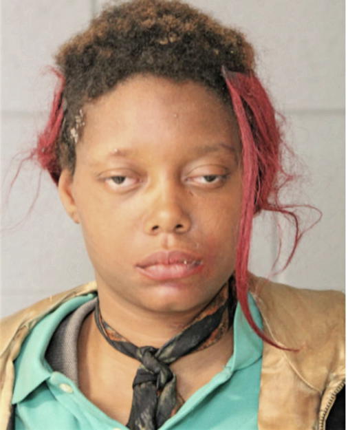 JAZZMIN C JOHNSON, Cook County, Illinois