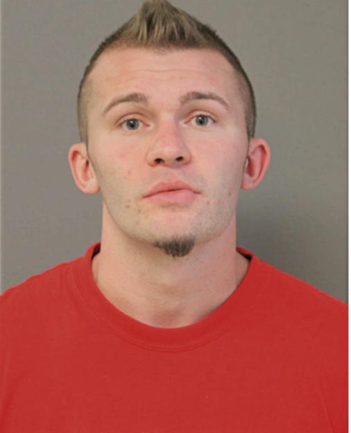 DANNY N LOWE, Cook County, Illinois