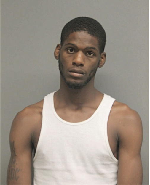 DENNIS L MAPP, Cook County, Illinois