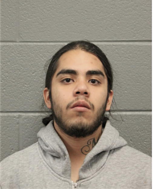 ADOLFO MARES, Cook County, Illinois