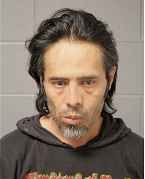 JAVIER F MENDOZA, Cook County, Illinois