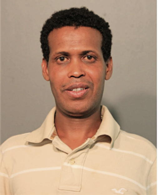 TEMESGEN F MENGESHA, Cook County, Illinois