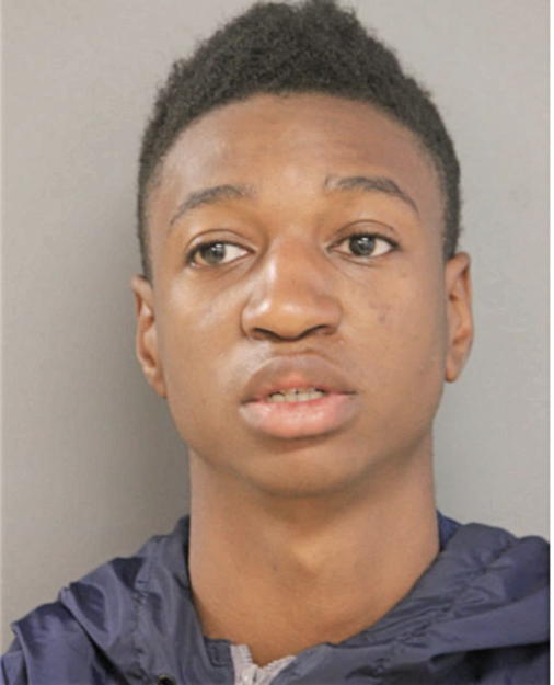 ANTHONY SANLMO MONTGOMERY WILSON, Cook County, Illinois
