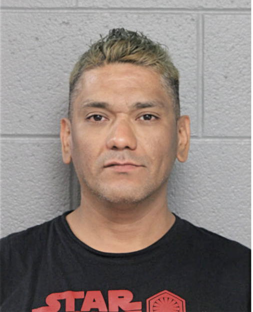 FERNANDO G MORALES, Cook County, Illinois