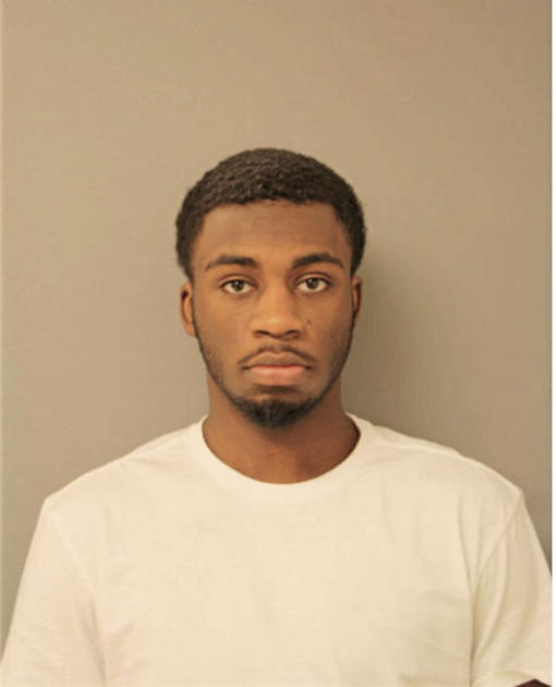 ROBERT J NORTHERN, Cook County, Illinois