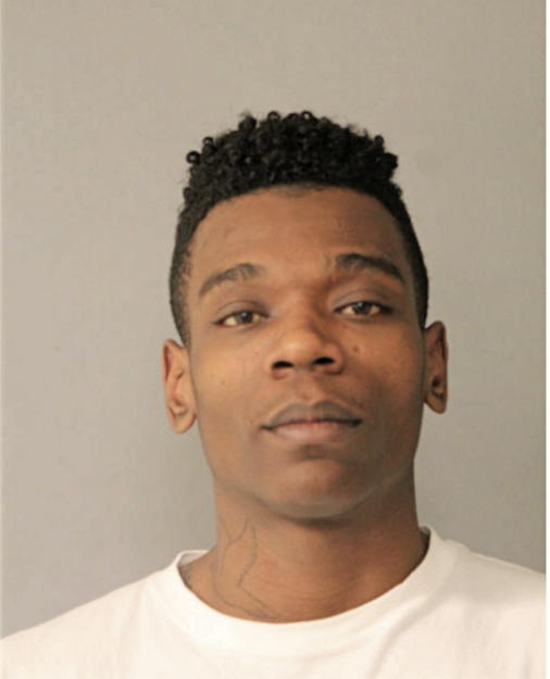 ANDRE L ROBINSON, Cook County, Illinois