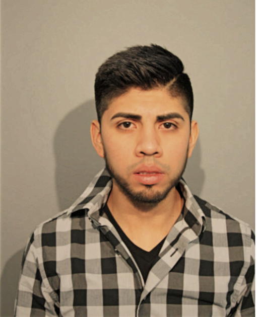 ADAN ROSALES-MARTINEZ, Cook County, Illinois