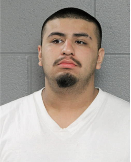 HECTOR A SANCHEZ, Cook County, Illinois