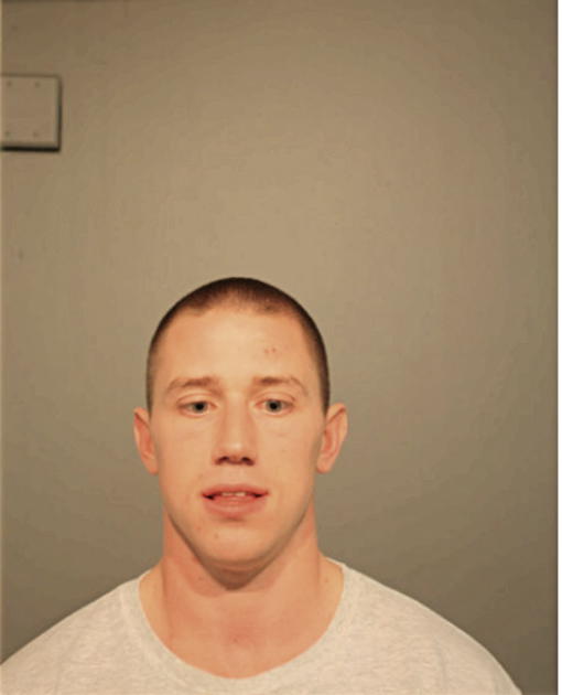 RYAN M SENESE, Cook County, Illinois