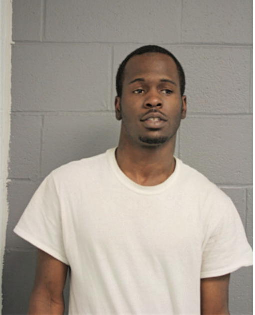LESHAWN D TURNER, Cook County, Illinois