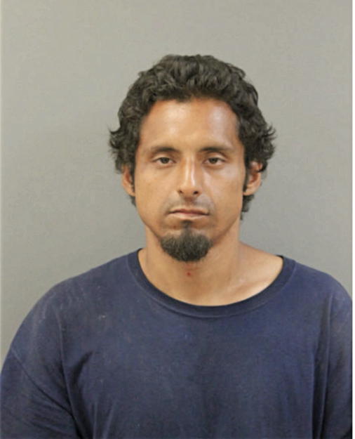 FRANCISCO J VEGA, Cook County, Illinois