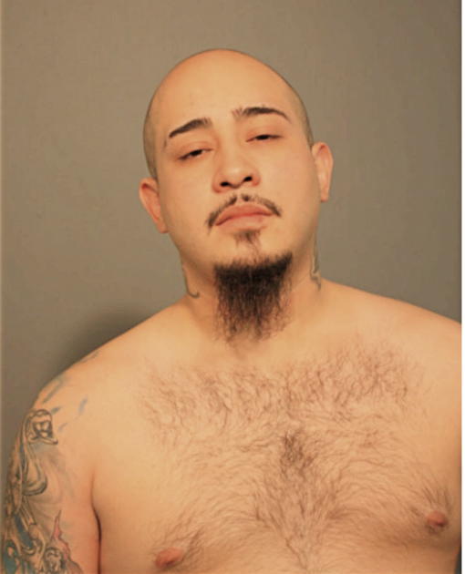 GUSTAVO VILLAGOMEZ, Cook County, Illinois
