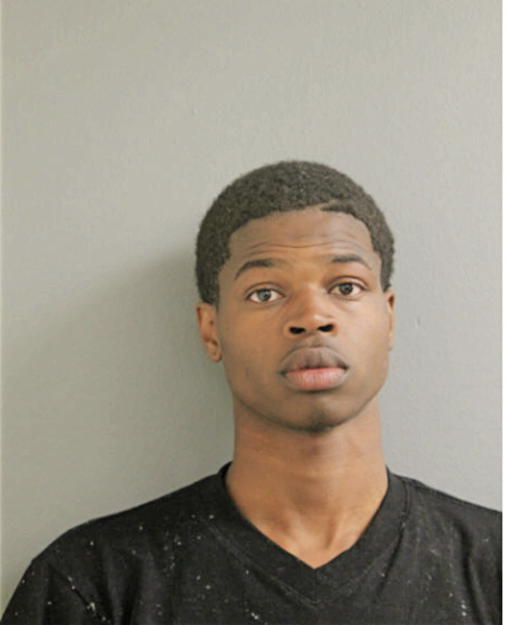 CHRISTOPHER L WIMES, Cook County, Illinois