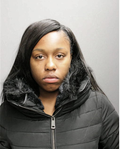 JANELLE MARY ANDERSON, Cook County, Illinois