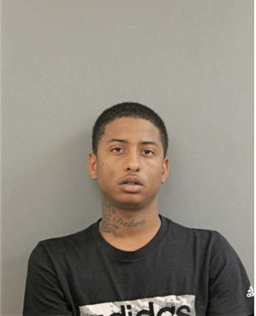 MICHAEL D BROWN, Cook County, Illinois