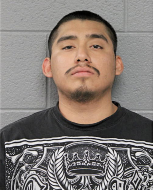 VINCENTE BUENO, Cook County, Illinois