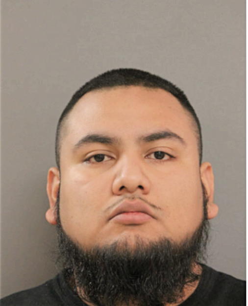 ENRIQUE A FLORES, Cook County, Illinois