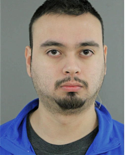 SALVADOR I GONZALEZ, Cook County, Illinois