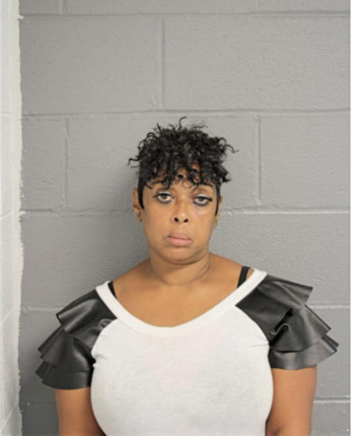 KAREN U JOHNSON, Cook County, Illinois