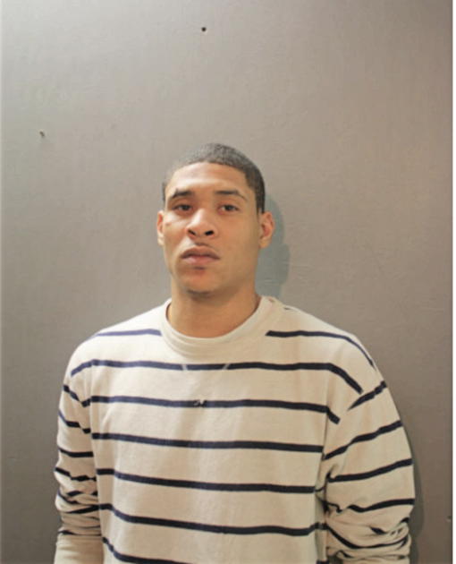 GAMAL E LANIER, Cook County, Illinois