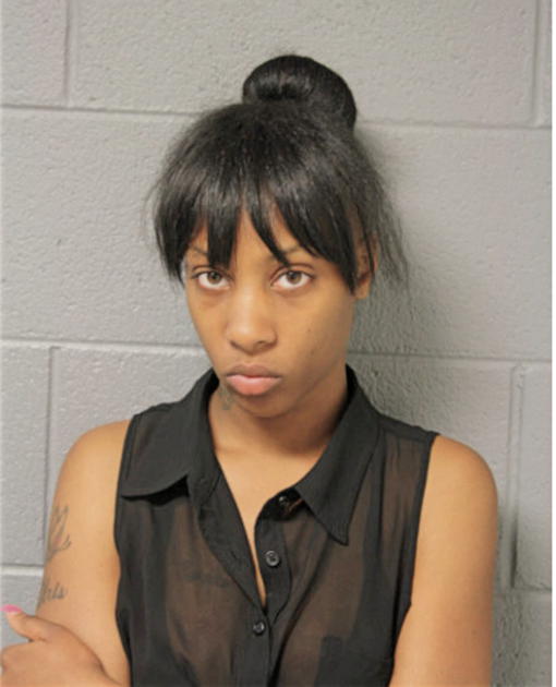 DANIELLE J LASHLEY-JOHNSON, Cook County, Illinois