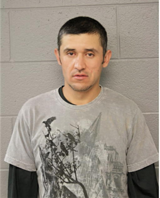 SERGIO LEANOS, Cook County, Illinois