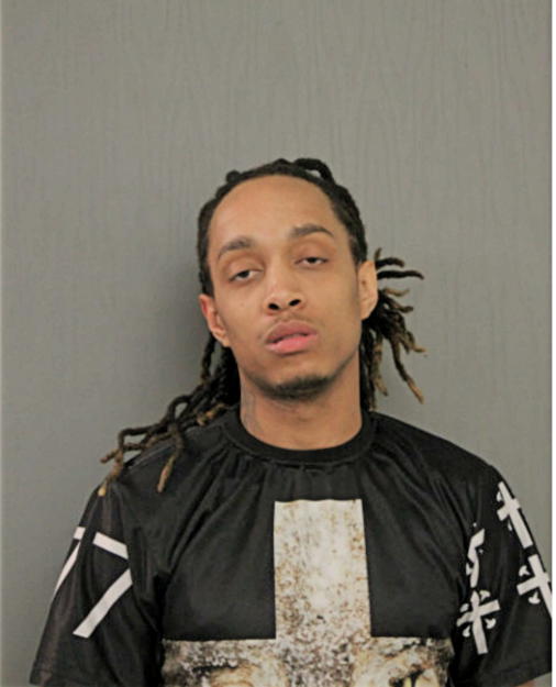 MICHAEL J LEE, Cook County, Illinois