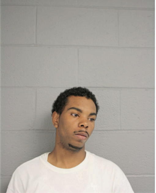 LORENZO N MCKINNEY, Cook County, Illinois