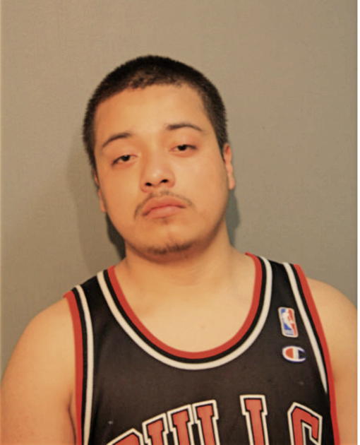 HECTOR MENDINO, Cook County, Illinois