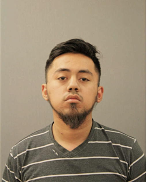 GUSTAVO MENDOZA, Cook County, Illinois