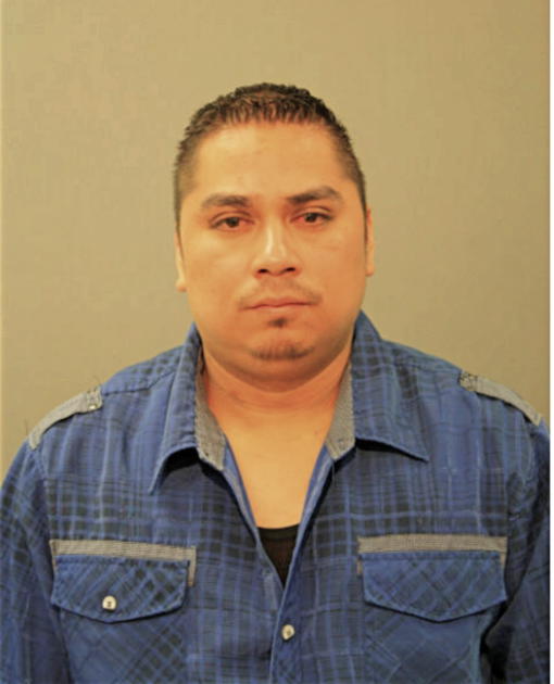 LUIS ABEL MENDOZA, Cook County, Illinois