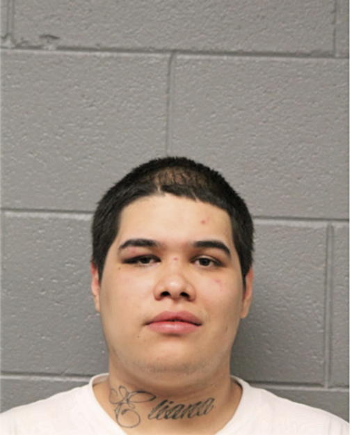 LUIS MOLINA, Cook County, Illinois
