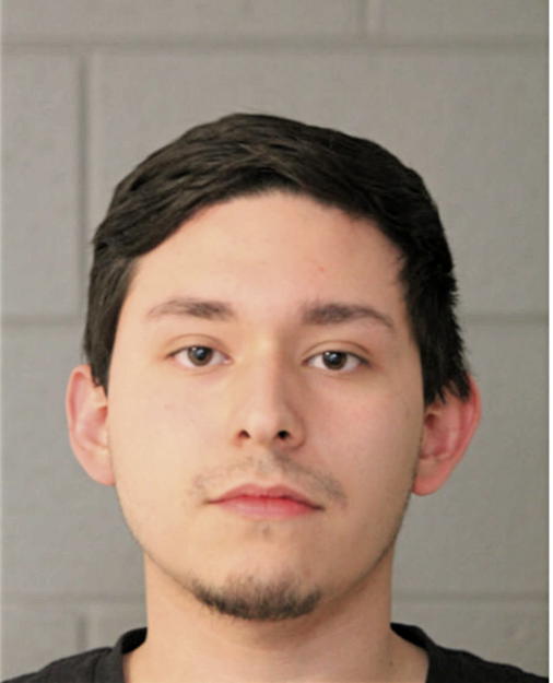 CARLOS S ORONA, Cook County, Illinois