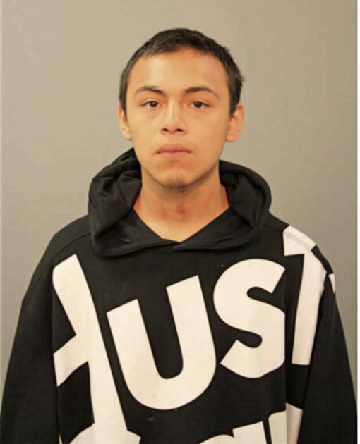 SAUL T ORTIZ, Cook County, Illinois
