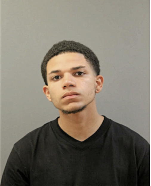 ESTARLIN PEREZ, Cook County, Illinois