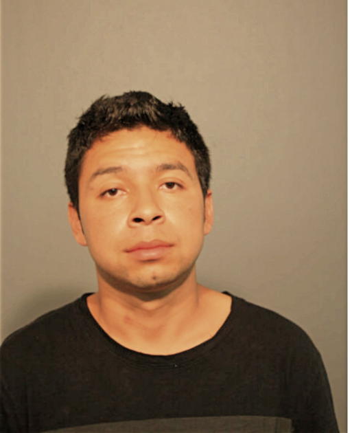 JULIO PEREZ, Cook County, Illinois