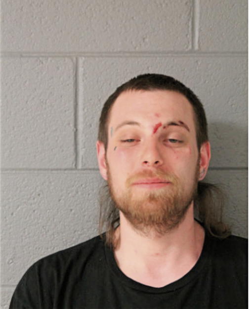 DYLAN PETERSEN, Cook County, Illinois