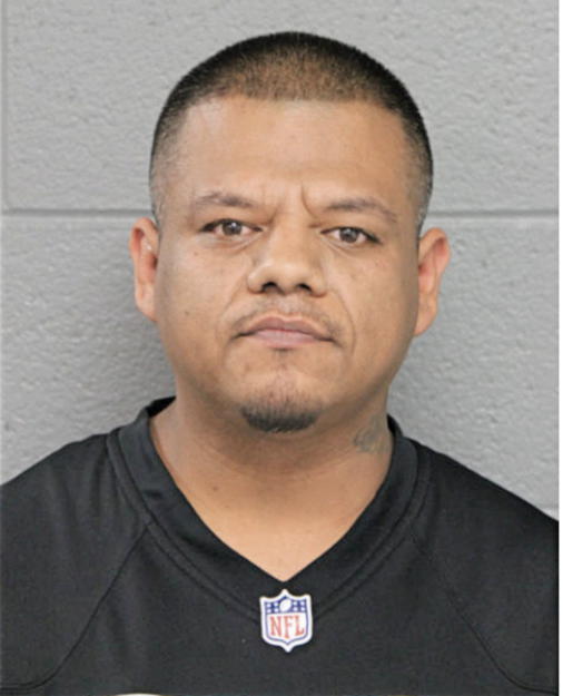 MATTHEW A REYES, Cook County, Illinois
