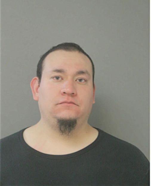 ARIEL ROMAN, Cook County, Illinois