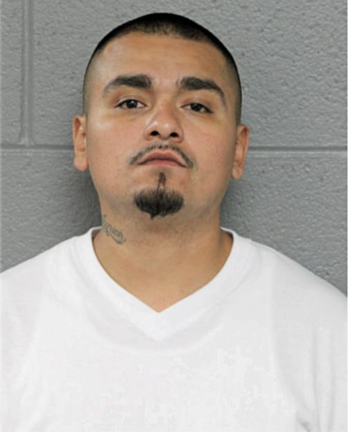 ESTEBAN RUIZ, Cook County, Illinois