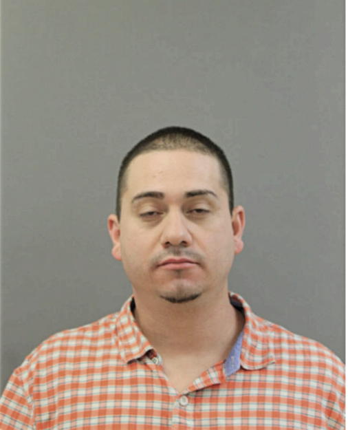 NELSON SOLIZ-VIDAL, Cook County, Illinois