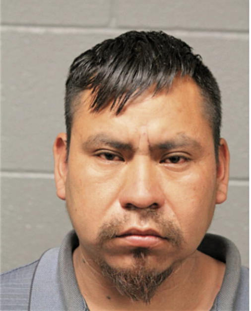 DEON R TILMAN, Cook County, Illinois