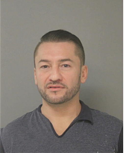 IVAYLO Y TSANEV, Cook County, Illinois